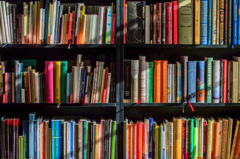 magasin-ST JEAN CAP FERRAT-min_books_bookstore_book_reading_shop_writer_sale_books_read-822866
